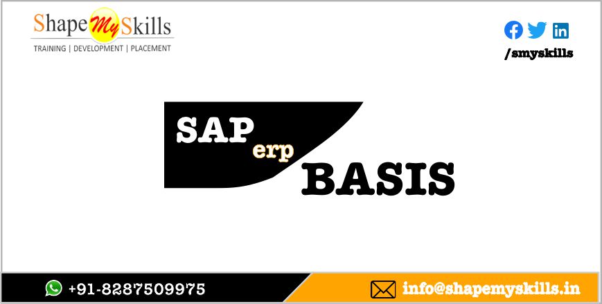 SAP BASIS Training in Delhi | SAP BASIS Online Training in Noida
