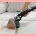 Leather Upholstery Cleaning Perth profile picture