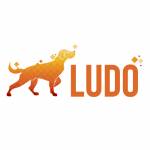Ludo AI Game Profile Picture
