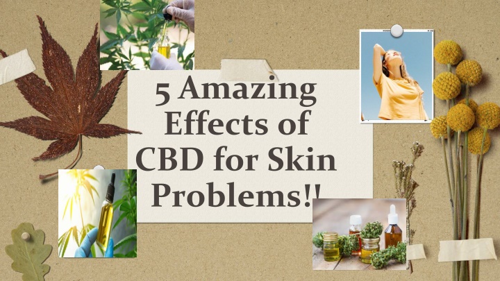 5 Amazing Effects of CBD for Skin Problems!!