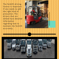 Add in the best support with the Forklift driving licence | Visual.ly