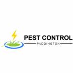Pest Control Paddington Profile Picture