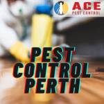 Pest Control Perth profile picture