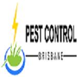 Bed Bug Control Brisbane Profile Picture