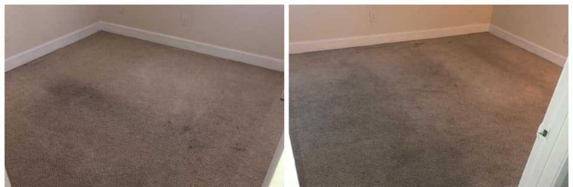 Professional Carpet Cleaning Perth Cover Image