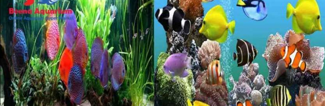 Beena Aquarium Cover Image