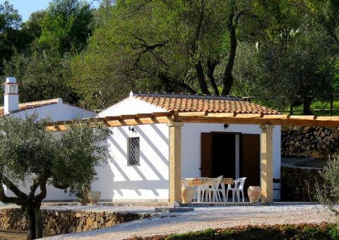Holiday Homes in Sardinia or Apartments for Rent to Stay in Luxurious Way - sardiniaholiday | Vingle, Interest Network