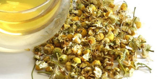 4 Tips To Help You Select The Best Chamomile Green Tea Online - Write on Wall "Global Community of writers"