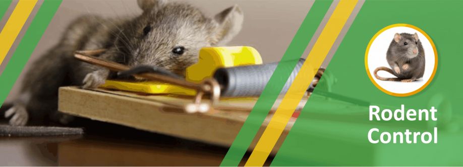 Rodent Control Adelaide Cover Image