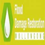 Flood Damage Restoration Wollongong Profile Picture