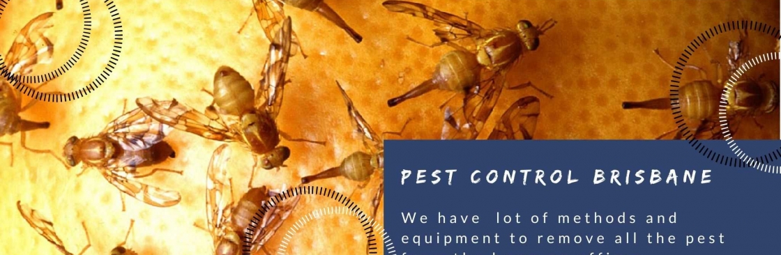 Best Pest Control Brisbane Cover Image
