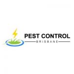 Best Pest Control Brisbane Profile Picture