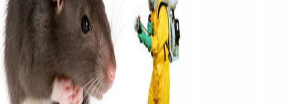 Rodent Control Canberra Cover Image