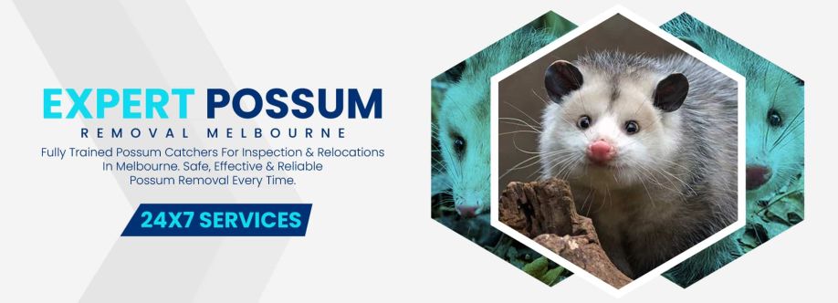 247 Possum Removal Melbourne Cover Image