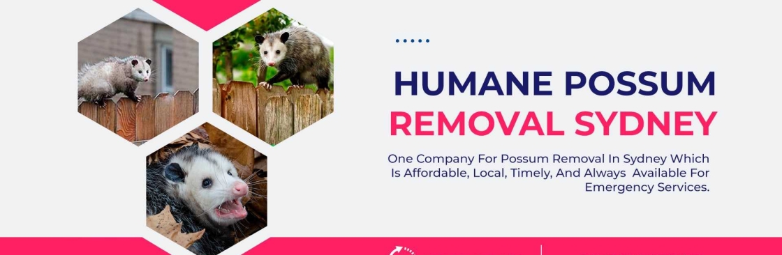 Humane Possum Removal Sydney Cover Image