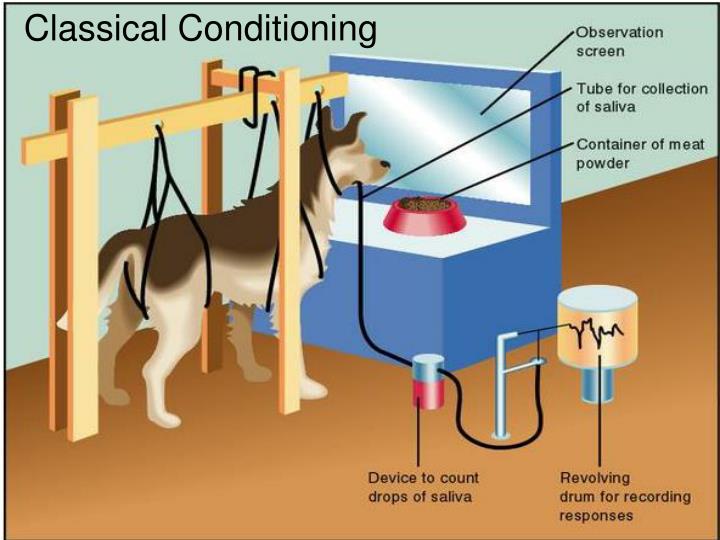 CLASSICAL CONDITIONING THEORY OF LEARNING” by IVAN PAVLOV