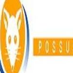 Humane Possum Removal Brisbane Profile Picture