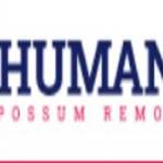 Humane Possum Removal Sydney Profile Picture