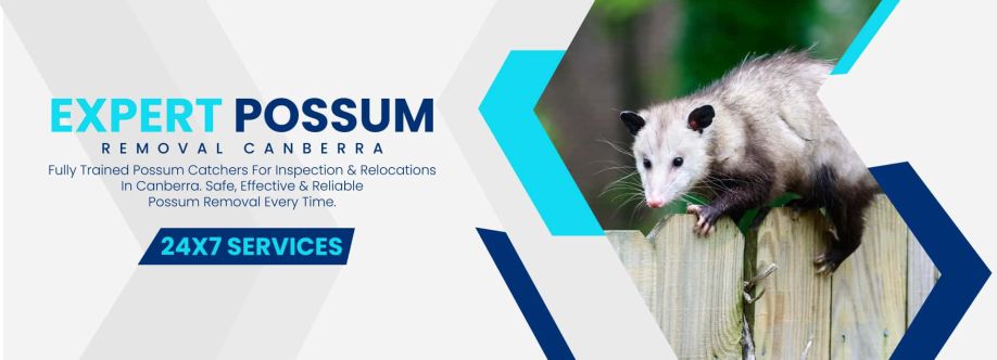 247 Possum Removal Canberra Cover Image