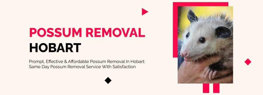 Possum Removal Hobart Cover Image