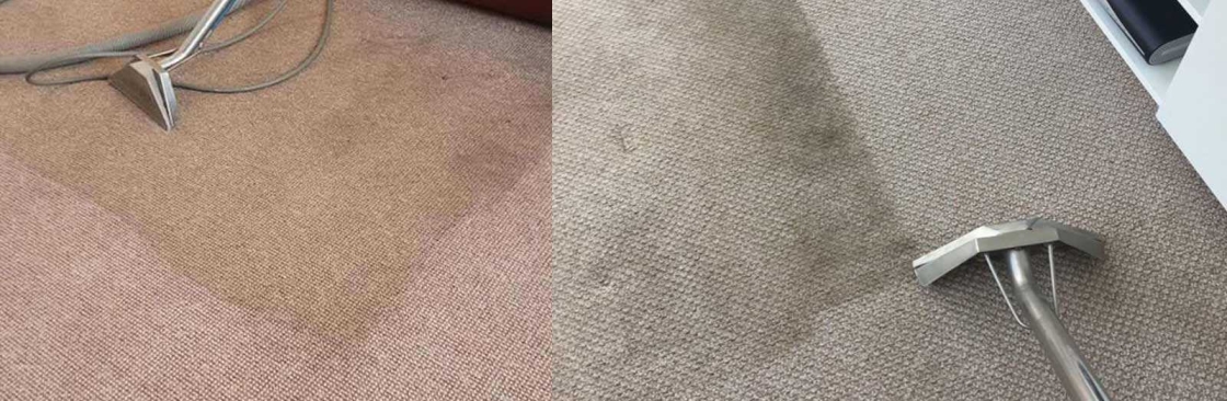 Carpet Cleaning Bondi Cover Image