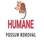 Humane Possum Removal Profile Picture