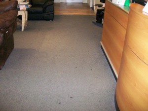 Professional Carpet Cleaning Services in London | Clean Carpet