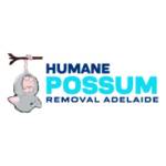 Humane Possum Removal Adelaide profile picture