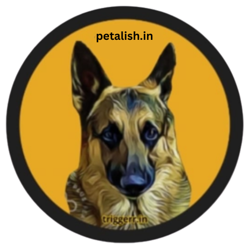 Petalish: Best Online Pet Store for Pet Products & Supplies
