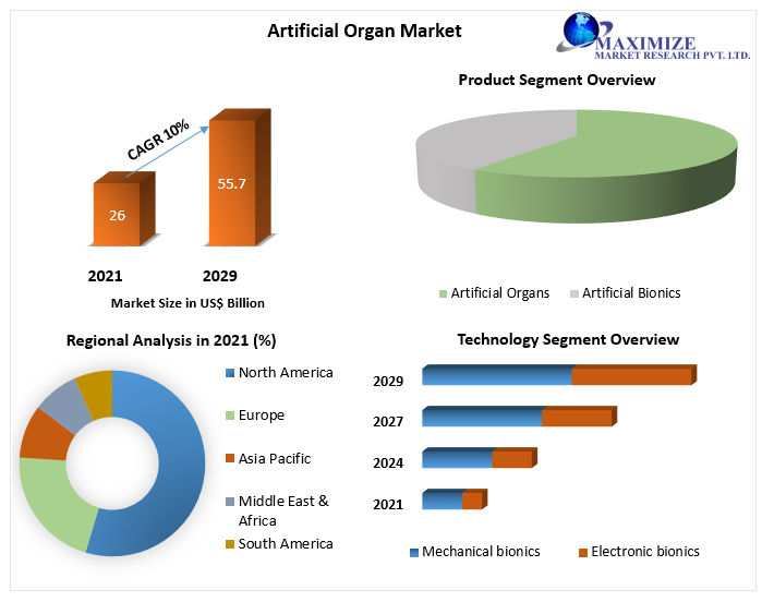 Artificial Organ Market: Global Industry Analysis and Forecast 2021- 2029
