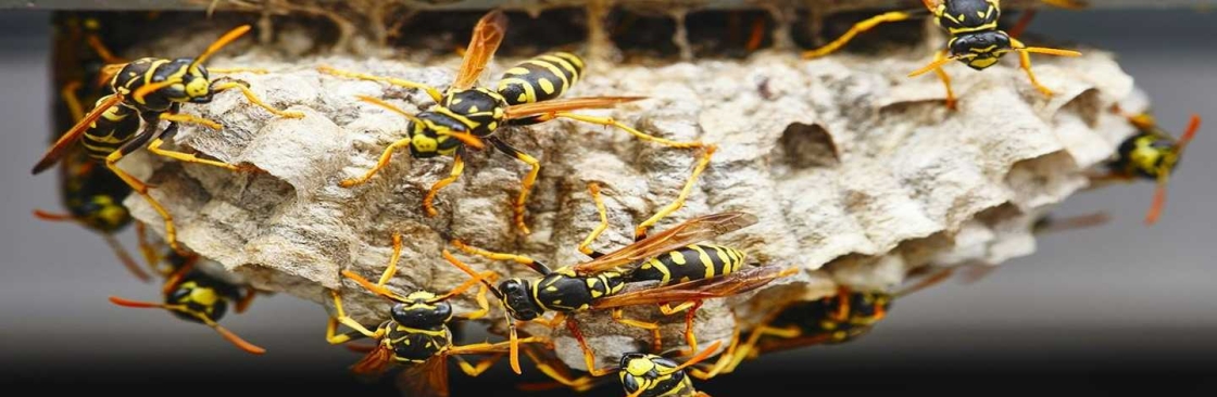 Target Wasp Removal Cover Image