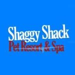 shaggyshackpetresorts Profile Picture