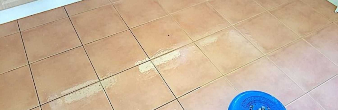 Rejuvenate Tile Grout Cleaning Cover Image