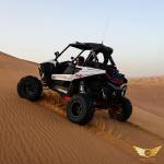Luxury Desert Safari Dubai Profile Picture