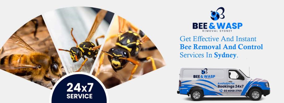 Bee and Wasp Removal Sydney Cover Image
