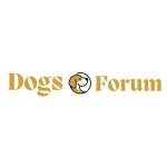 Dogs forums Profile Picture