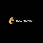 Bull Prophet Profile Picture