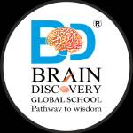 Brain Discovery Global School Profile Picture