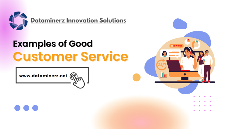 10 Examples of Good Customer Service in 2023 - Dataminerz Innovative Solutions