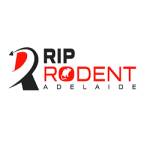 RIP Rodent Control Adelaide Profile Picture