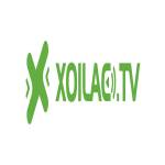 Xem bóng đá trực tuyến Xoilac Profile Picture