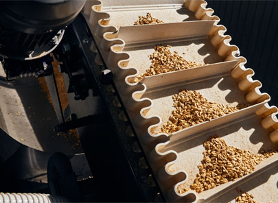 Best Quality Grain Processing Plant Providers