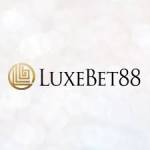 Luxebet Casino Profile Picture