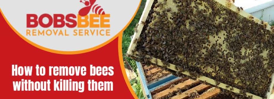 Bobs Bee Removal Perth Cover Image