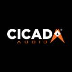 Cicada Audio Profile Picture