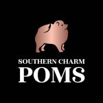 Southern Charm Poms Profile Picture