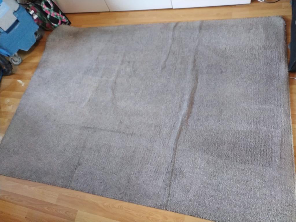 Guide To Maintain Commercial Carpet During Cleaning Session