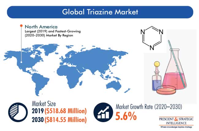 Triazine Market Size & Share Analysis and Growth Forecast Report, 2030