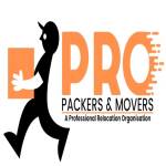 PRO Packer and Movers Profile Picture
