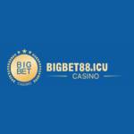 Bigbet88 ICU Profile Picture
